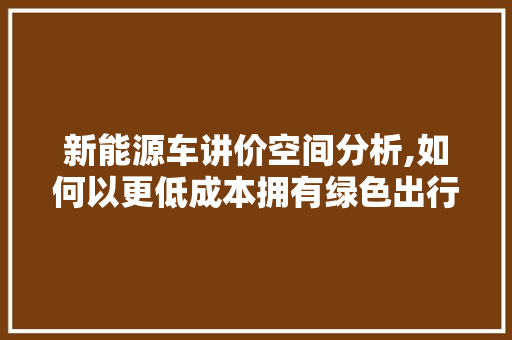 新能源车讲价空间分析,如何以更低成本拥有绿色出行利器