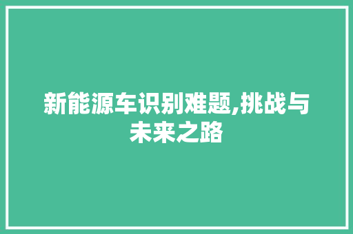 新能源车识别难题,挑战与未来之路