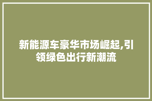 新能源车豪华市场崛起,引领绿色出行新潮流