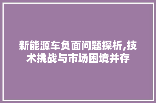 新能源车负面问题探析,技术挑战与市场困境并存