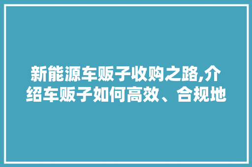 新能源车贩子收购之路,介绍车贩子如何高效、合规地收车