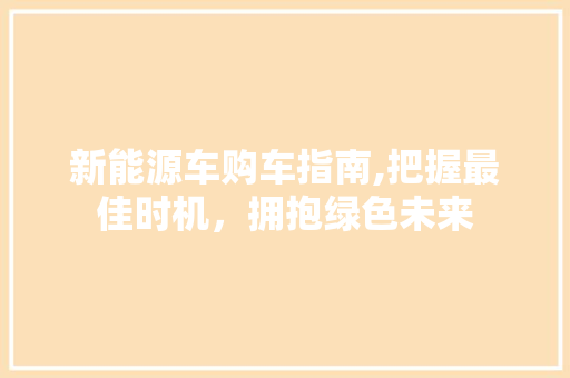 新能源车购车指南,把握最佳时机，拥抱绿色未来