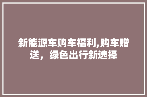 新能源车购车福利,购车赠送，绿色出行新选择
