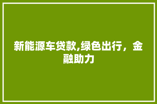 新能源车贷款,绿色出行，金融助力