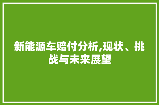 新能源车赔付分析,现状、挑战与未来展望