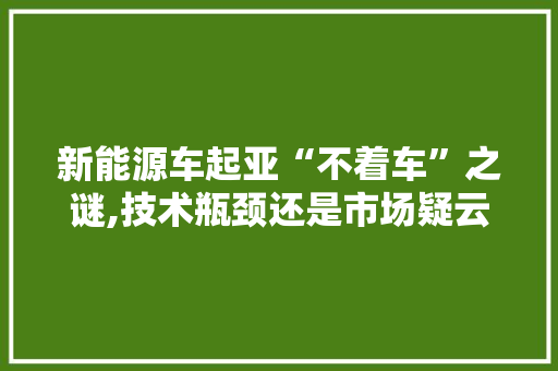 新能源车起亚“不着车”之谜,技术瓶颈还是市场疑云
