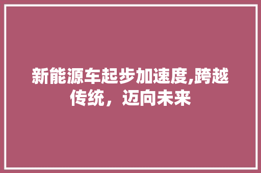 新能源车起步加速度,跨越传统，迈向未来