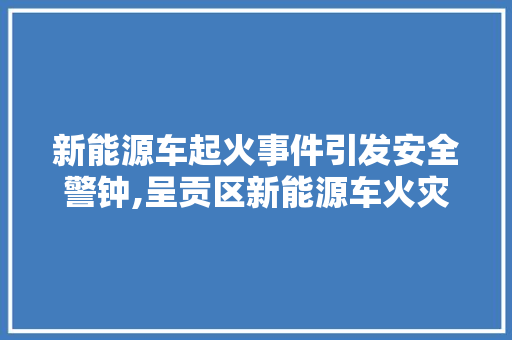 新能源车起火事件引发安全警钟,呈贡区新能源车火灾调查与反思