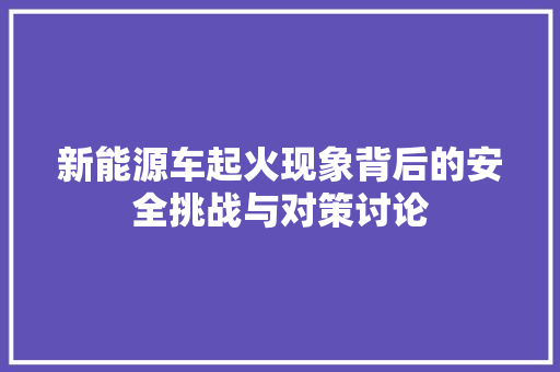 新能源车起火现象背后的安全挑战与对策讨论