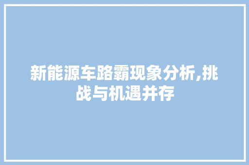 新能源车路霸现象分析,挑战与机遇并存