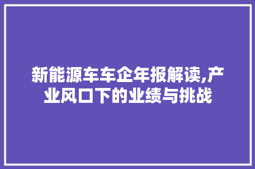 新能源车车企年报解读,产业风口下的业绩与挑战