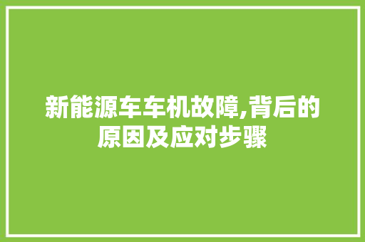 新能源车车机故障,背后的原因及应对步骤
