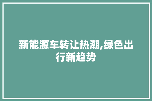 新能源车转让热潮,绿色出行新趋势