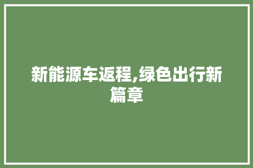 新能源车返程,绿色出行新篇章