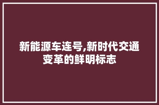 新能源车连号,新时代交通变革的鲜明标志