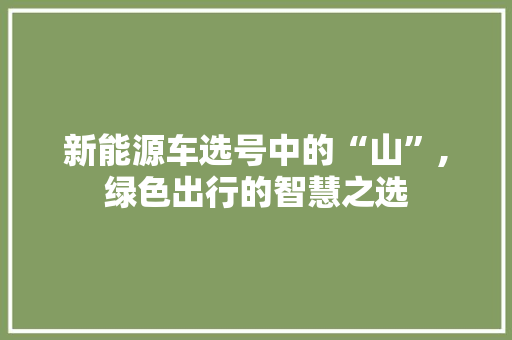 新能源车选号中的“山”,绿色出行的智慧之选