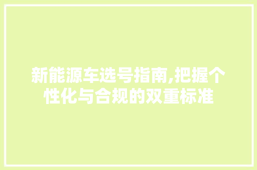 新能源车选号指南,把握个性化与合规的双重标准