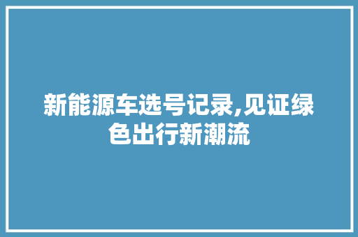 新能源车选号记录,见证绿色出行新潮流