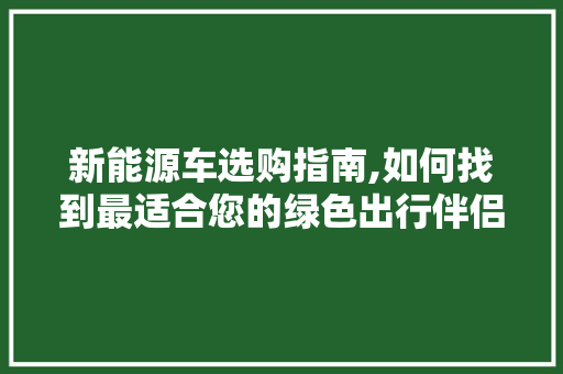 新能源车选购指南,如何找到最适合您的绿色出行伴侣