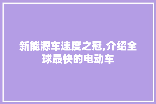 新能源车速度之冠,介绍全球最快的电动车