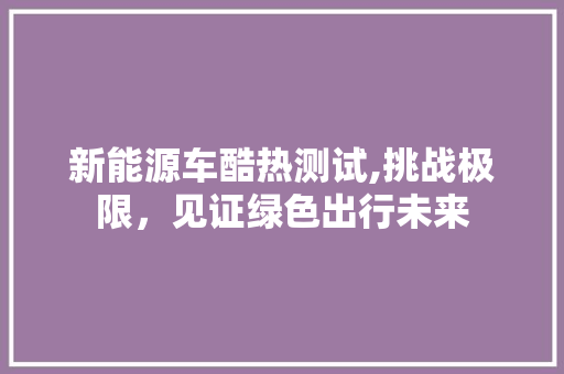 新能源车酷热测试,挑战极限，见证绿色出行未来