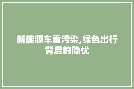 新能源车重污染,绿色出行背后的隐忧