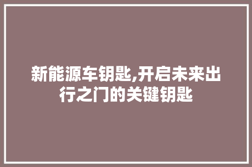 新能源车钥匙,开启未来出行之门的关键钥匙