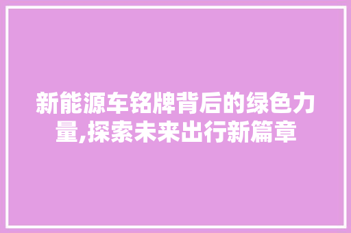 新能源车铭牌背后的绿色力量,探索未来出行新篇章