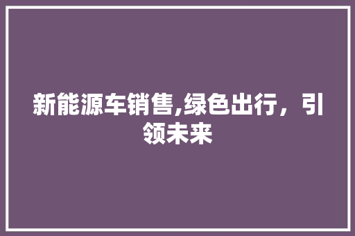 新能源车销售,绿色出行，引领未来