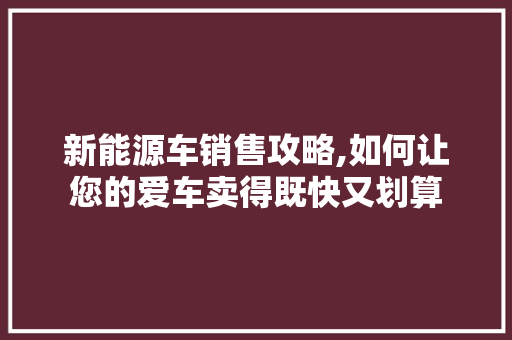 新能源车销售攻略,如何让您的爱车卖得既快又划算