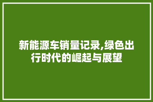 新能源车销量记录,绿色出行时代的崛起与展望