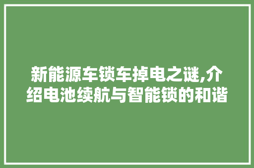 新能源车锁车掉电之谜,介绍电池续航与智能锁的和谐共生