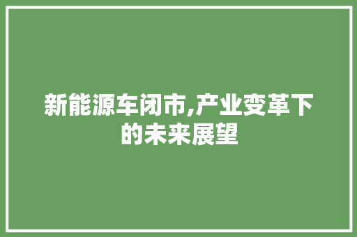 新能源车闭市,产业变革下的未来展望