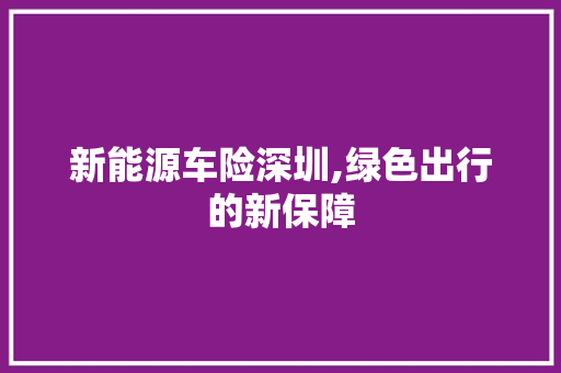 新能源车险深圳,绿色出行的新保障