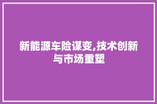 新能源车险谋变,技术创新与市场重塑 新能源汽车