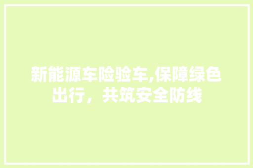 新能源车险验车,保障绿色出行，共筑安全防线