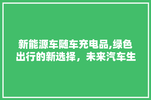 新能源车随车充电品,绿色出行的新选择，未来汽车生活的新篇章