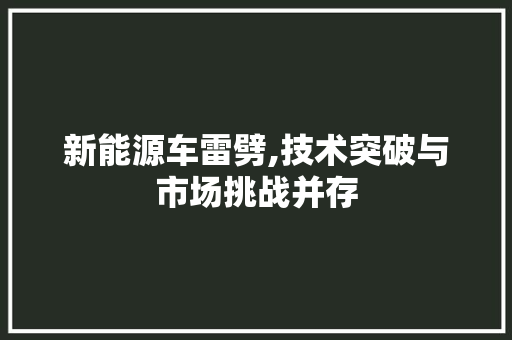 新能源车雷劈,技术突破与市场挑战并存