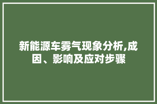 新能源车雾气现象分析,成因、影响及应对步骤