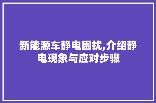 新能源车静电困扰,介绍静电现象与应对步骤