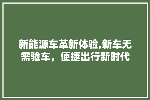 新能源车革新体验,新车无需验车，便捷出行新时代