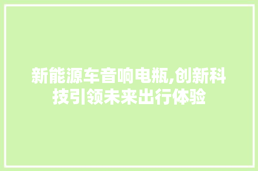 新能源车音响电瓶,创新科技引领未来出行体验