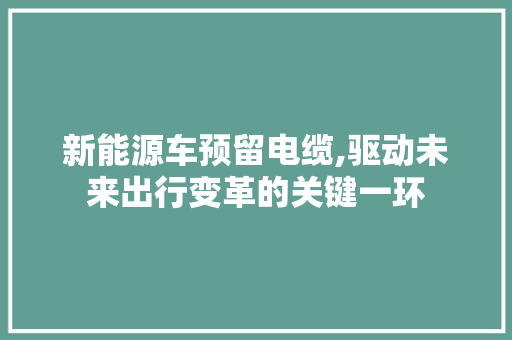 新能源车预留电缆,驱动未来出行变革的关键一环