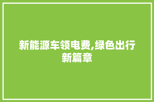 新能源车领电费,绿色出行新篇章