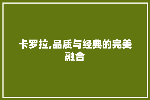 卡罗拉,品质与经典的完美融合