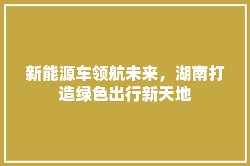 新能源车领航未来，湖南打造绿色出行新天地