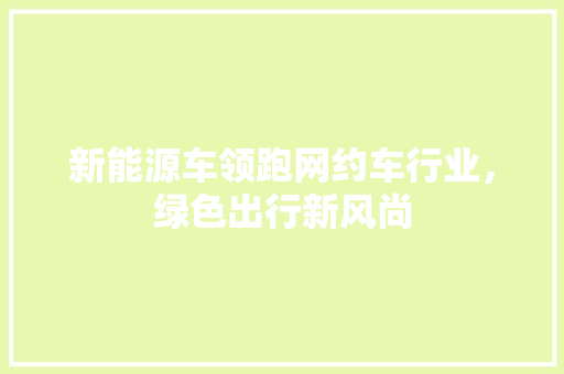 新能源车领跑网约车行业，绿色出行新风尚