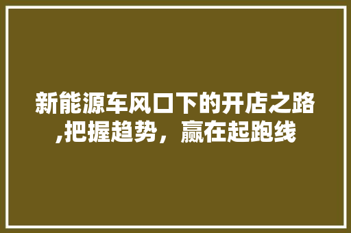 新能源车风口下的开店之路,把握趋势，赢在起跑线