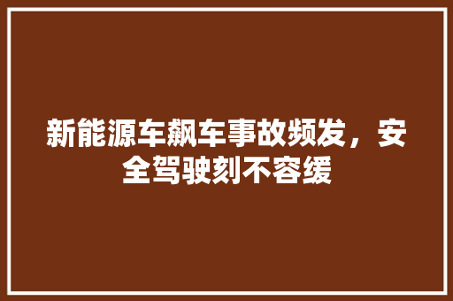 新能源车飙车事故频发，安全驾驶刻不容缓