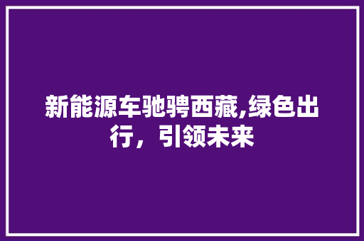 新能源车驰骋西藏,绿色出行，引领未来